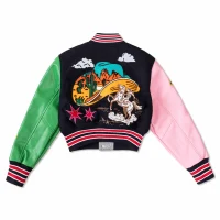 New Vintage Style Wild and Free Embroidery Cropped Varsity Jacket