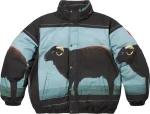 Supreme Damien Hirst Down Puffer Jacket Black